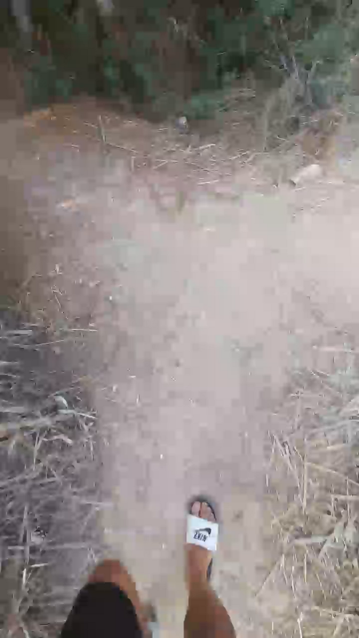 El_ceco