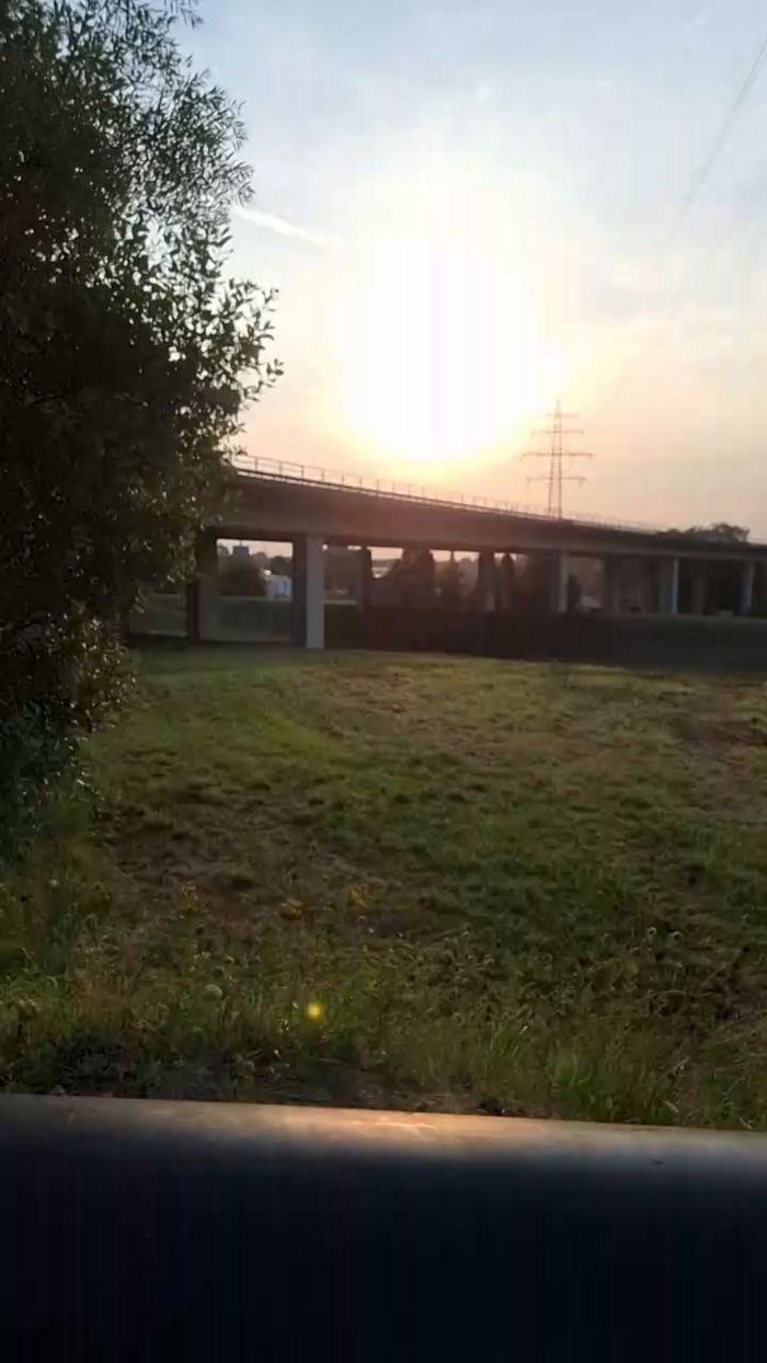 Germanppbottom