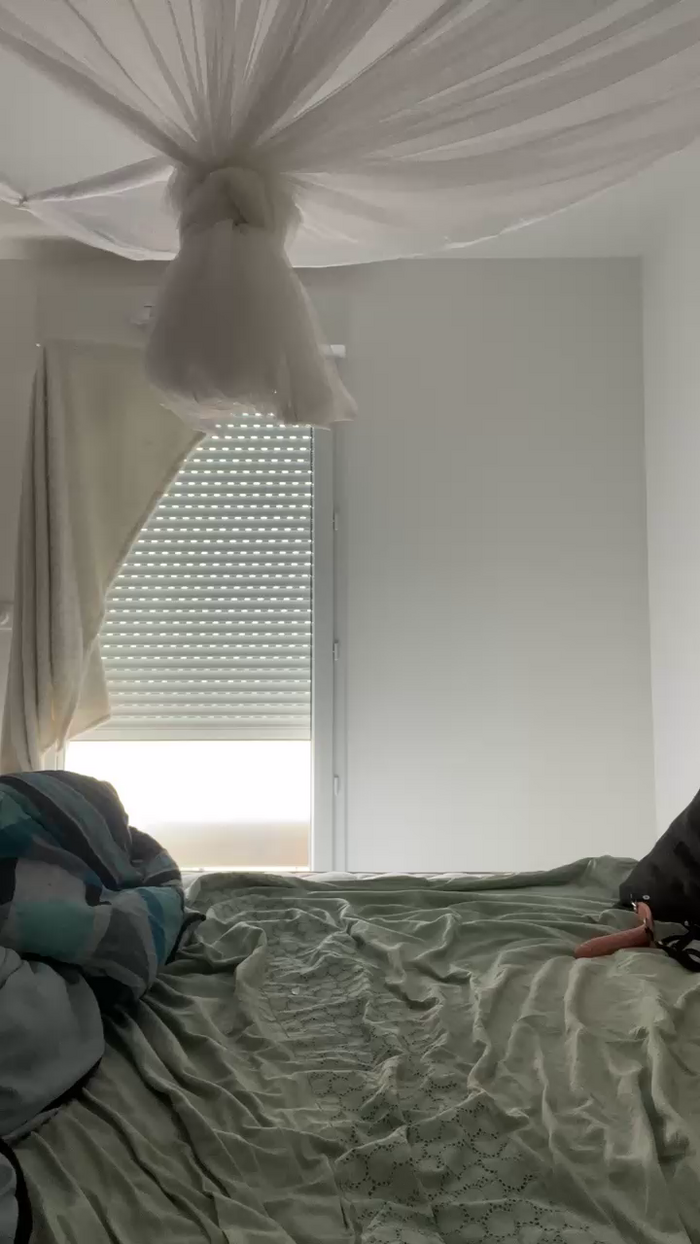 samianimes
