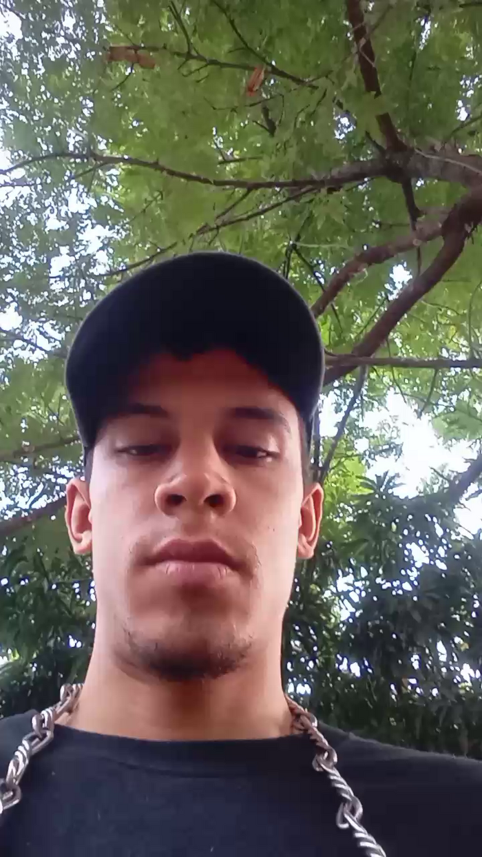 Bartisam
