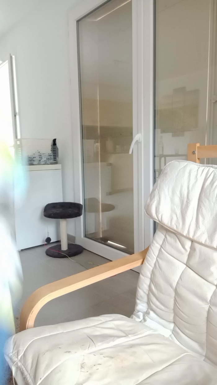 Mimidreve_