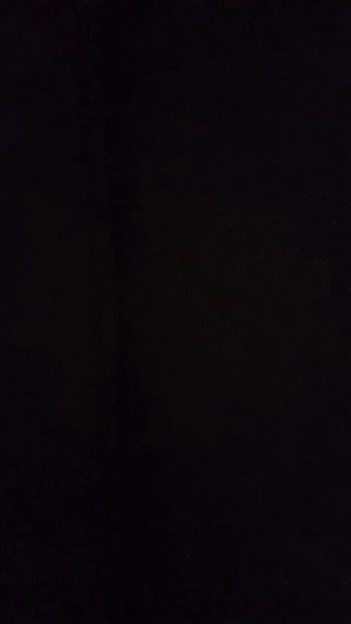 Divertiamoci86