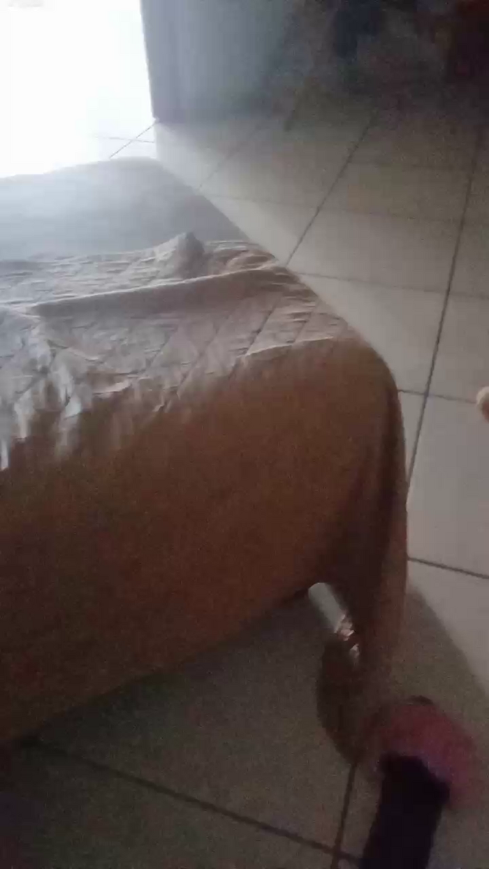 Divertiamoci86