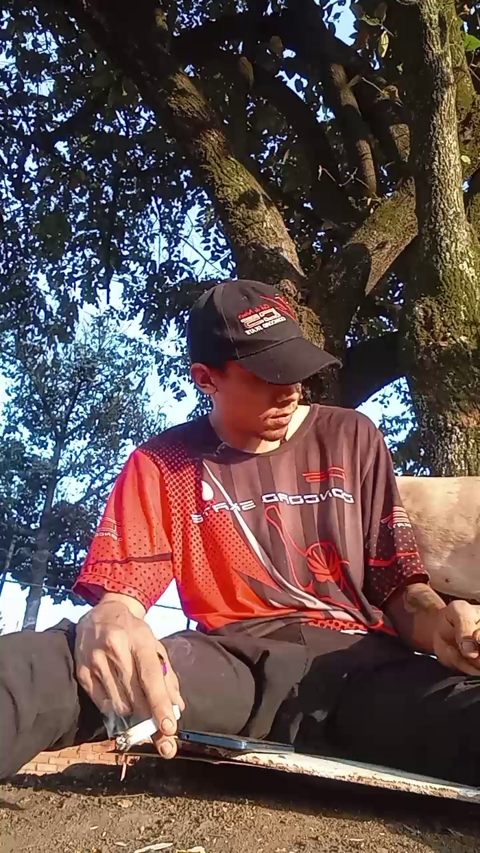Bartisam