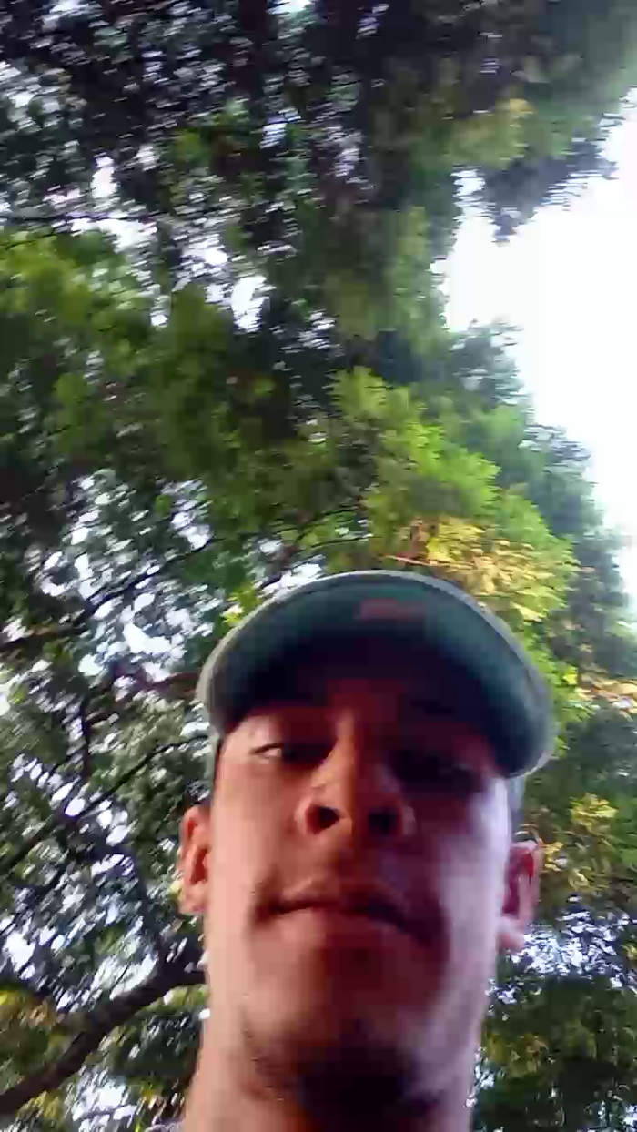 Bartisam