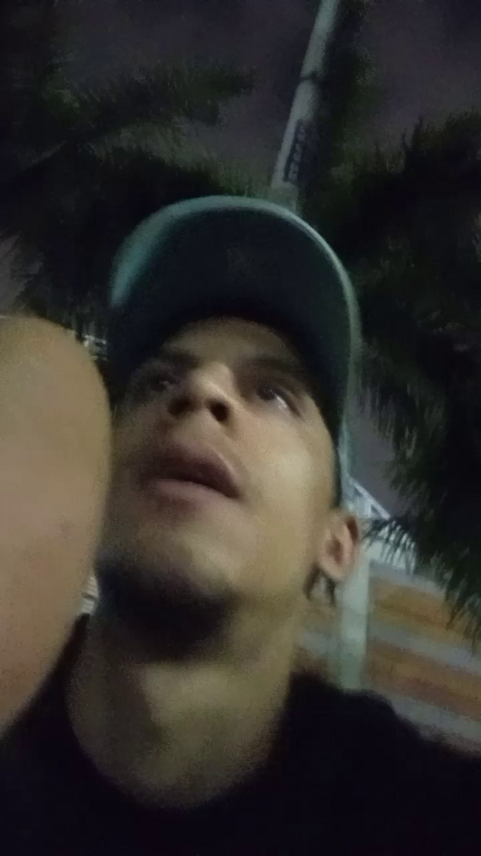 Bartisam