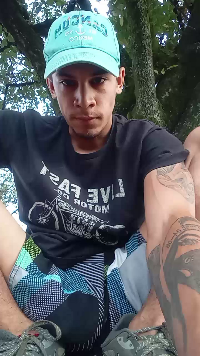 Bartisam