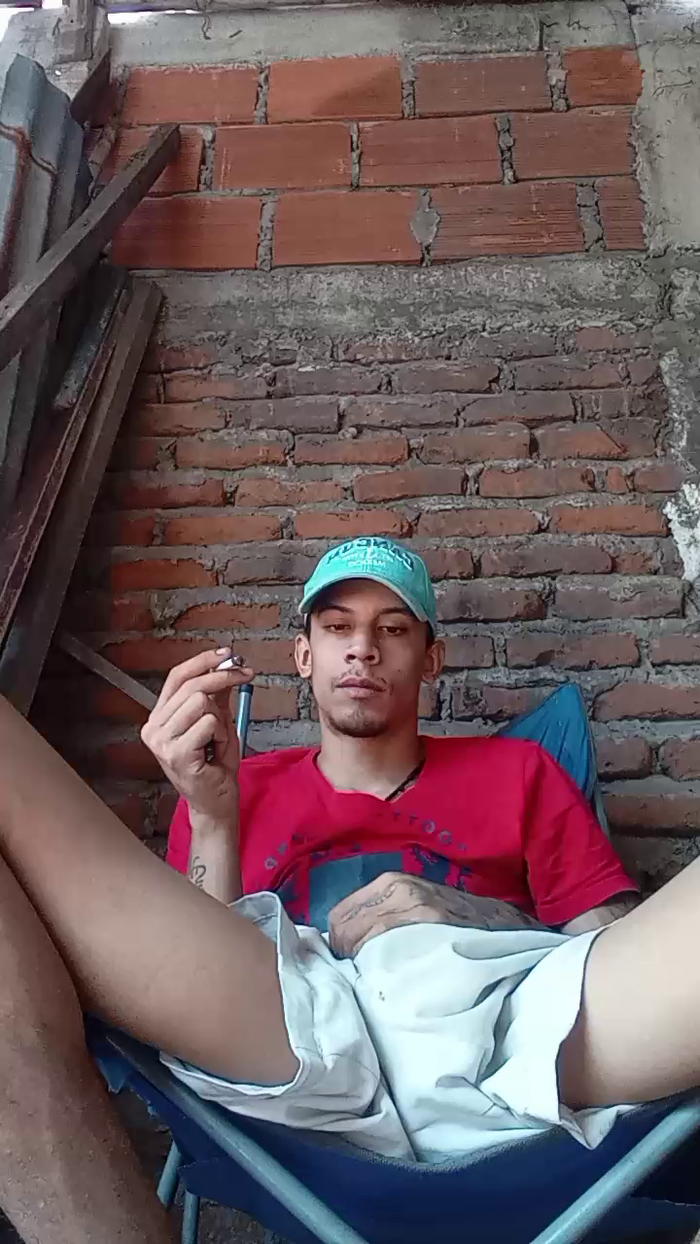 Bartisam