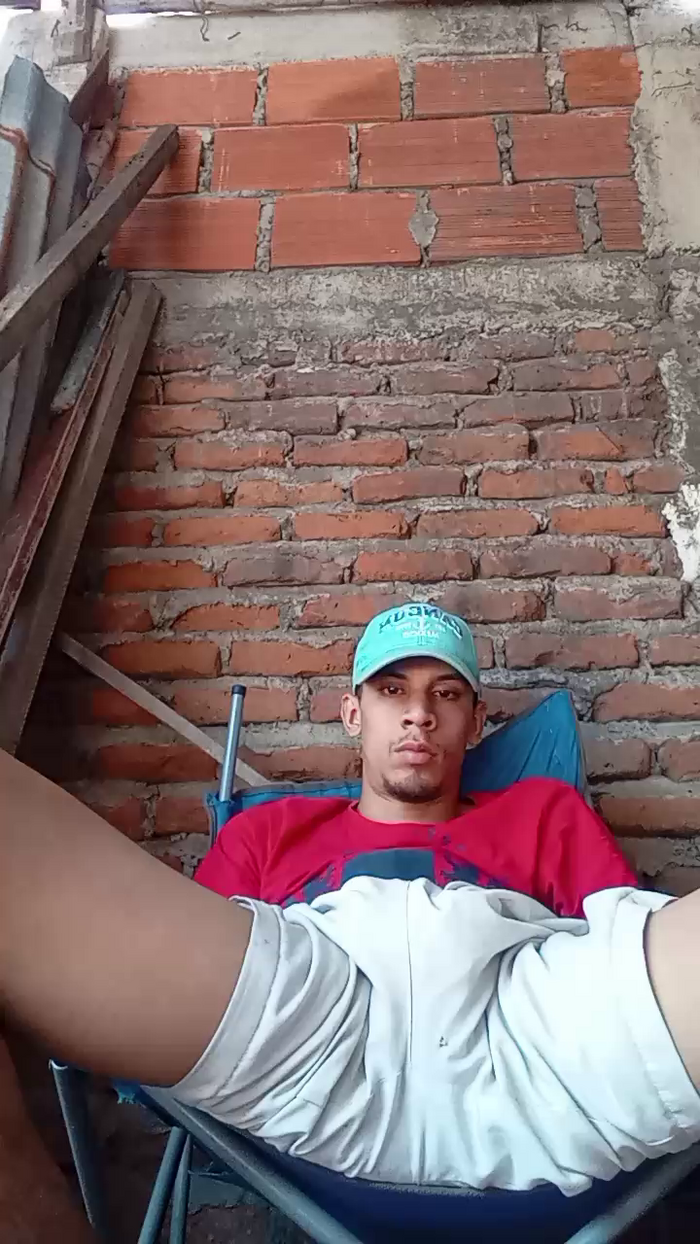 Bartisam