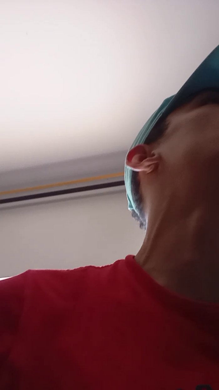 Bartisam