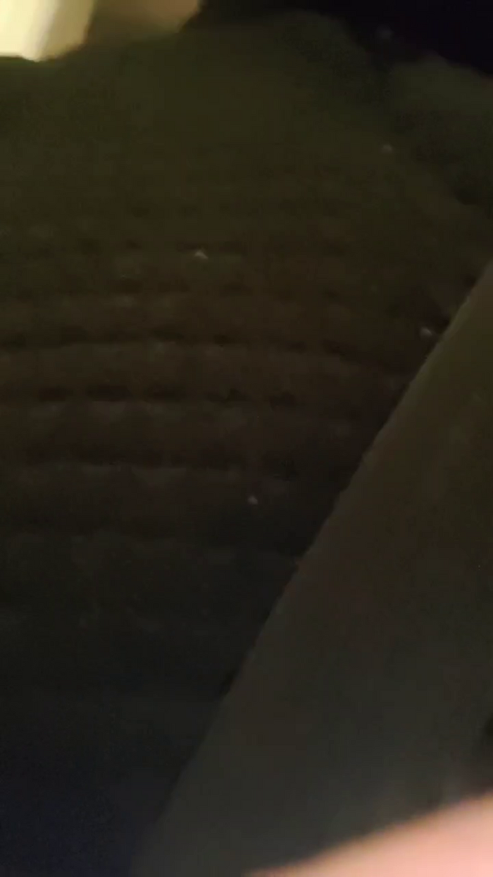 Jaxxxisback