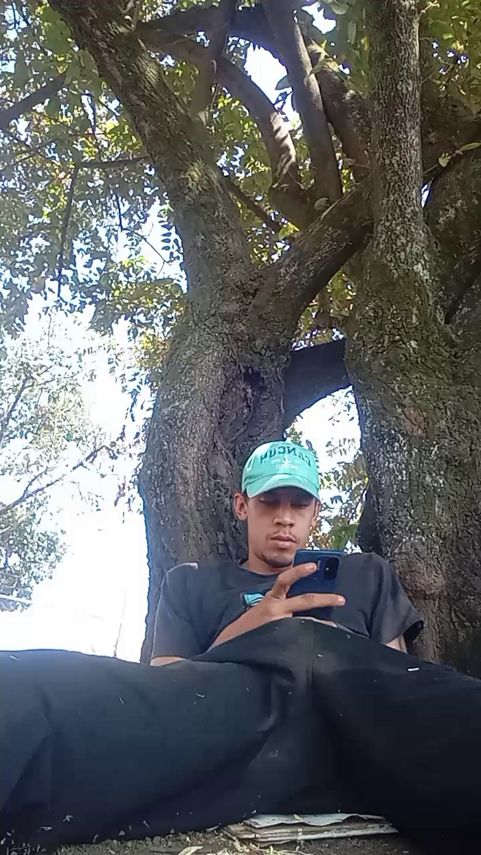 Bartisam