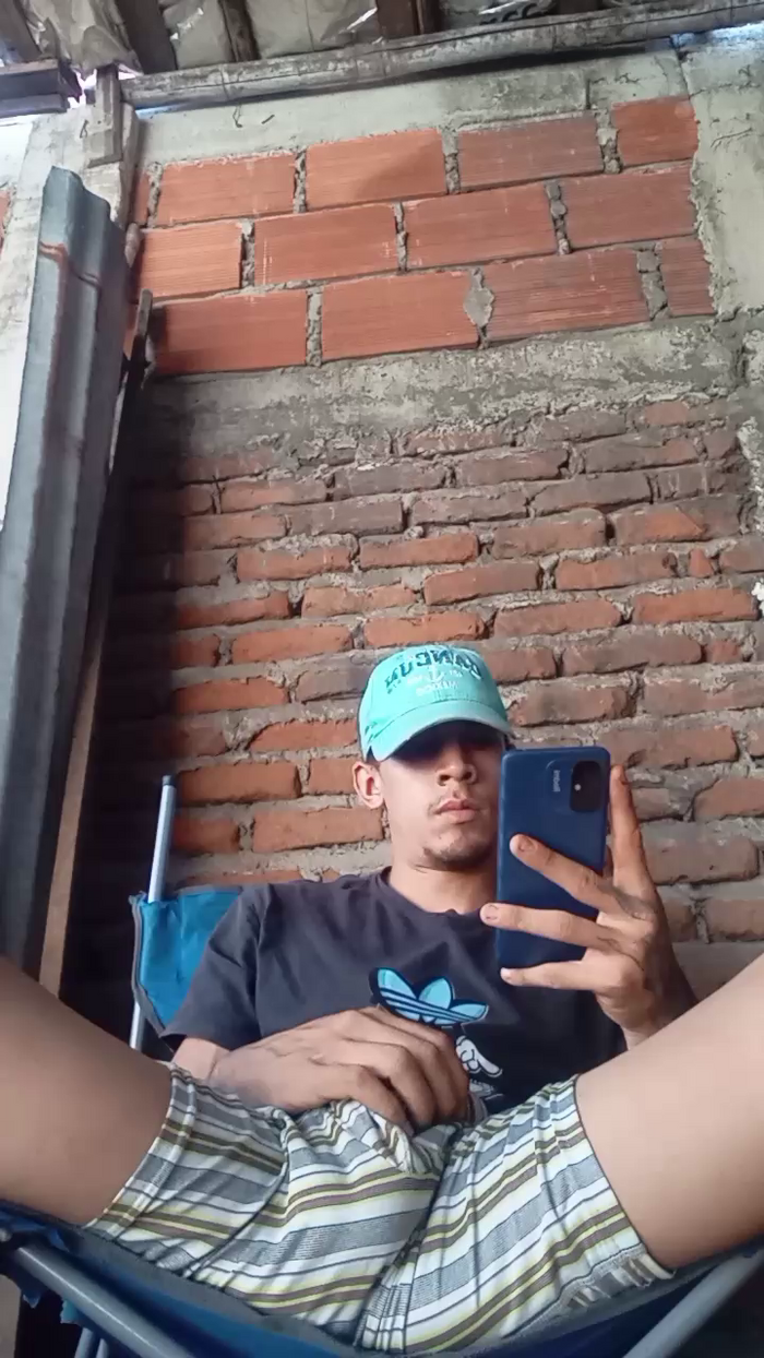Bartisam