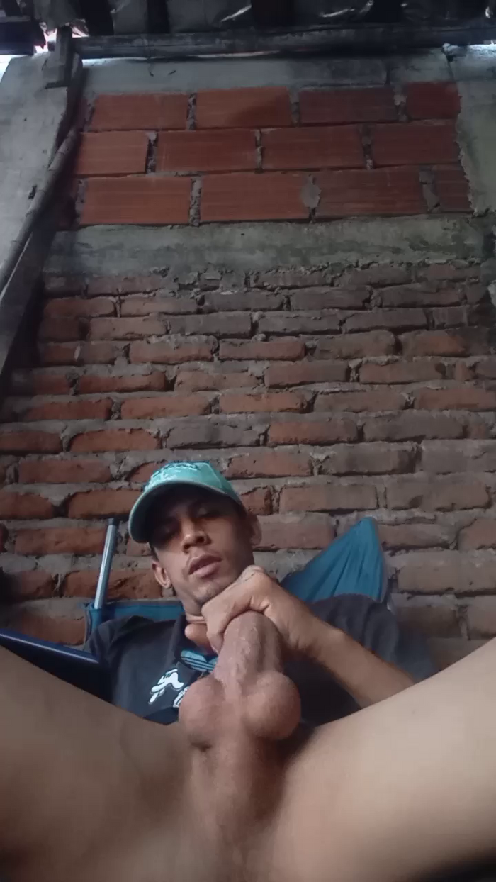 Bartisam