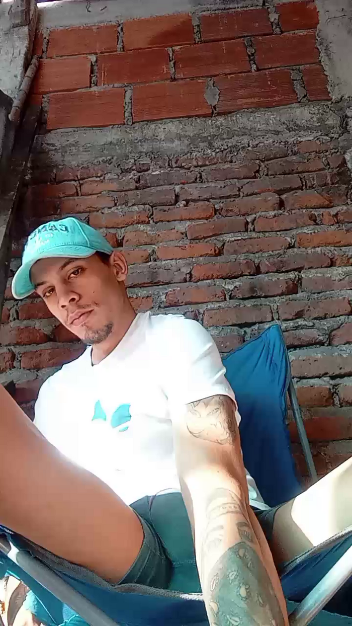 Bartisam