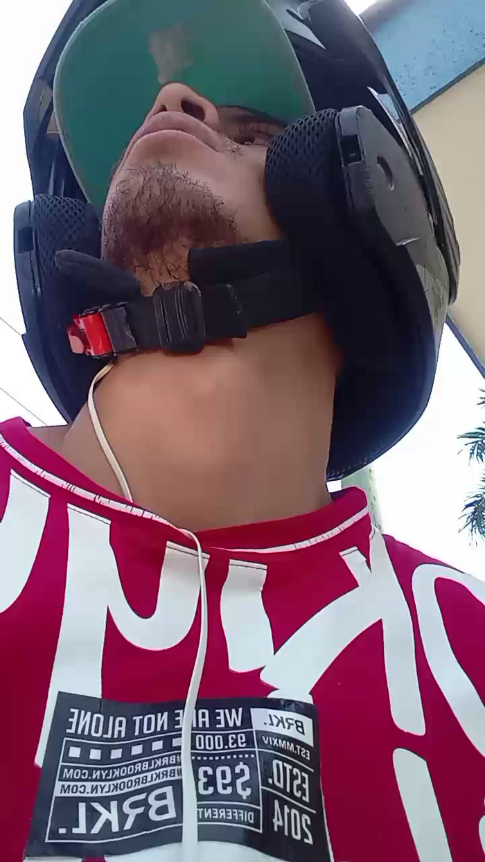 Bartisam