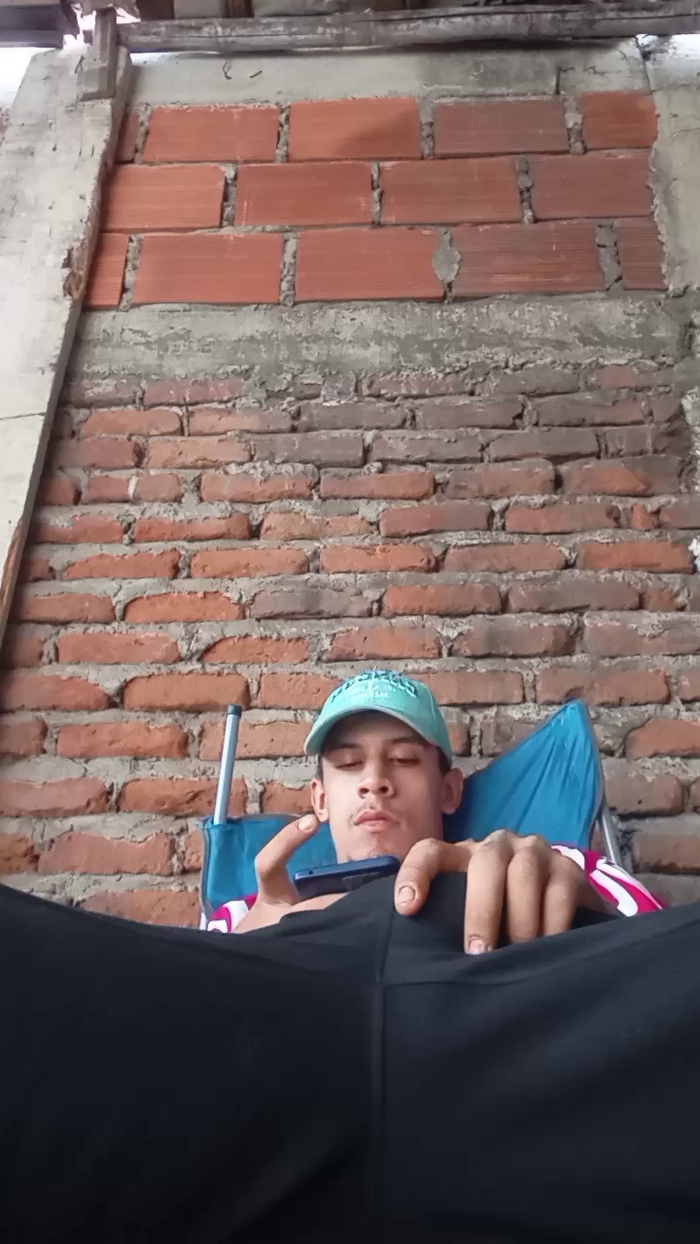 Bartisam