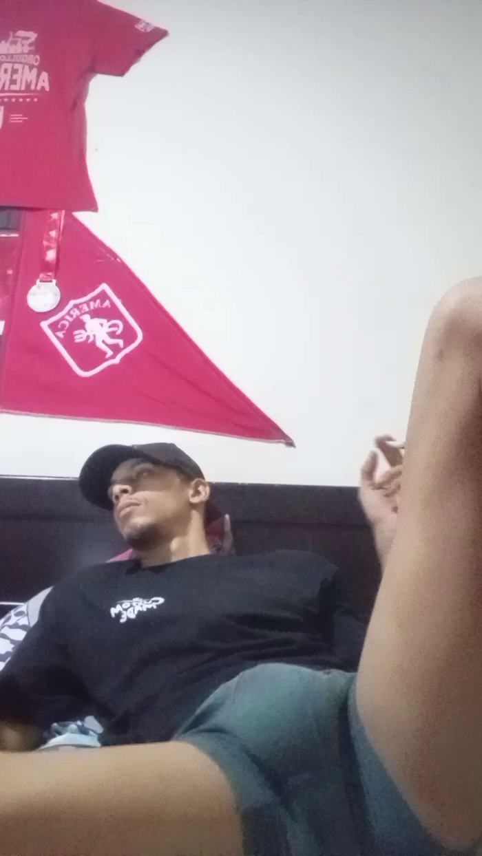 Bartisam