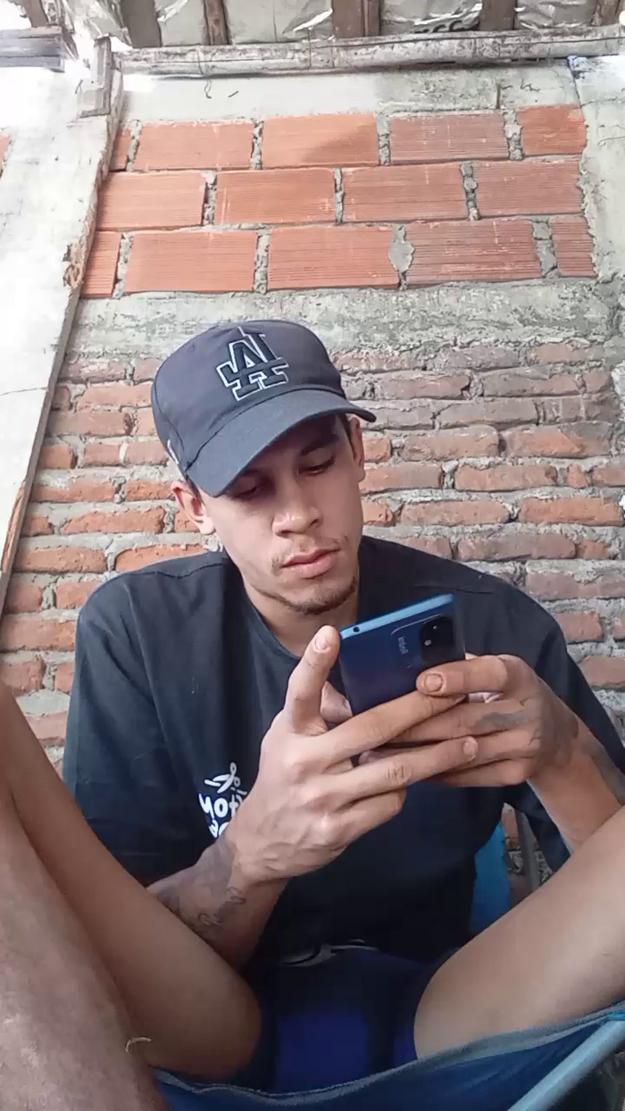 Bartisam