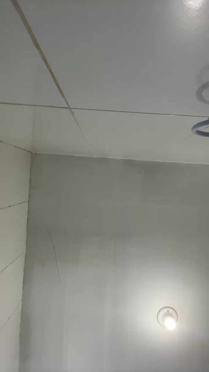MeninoLobo_
