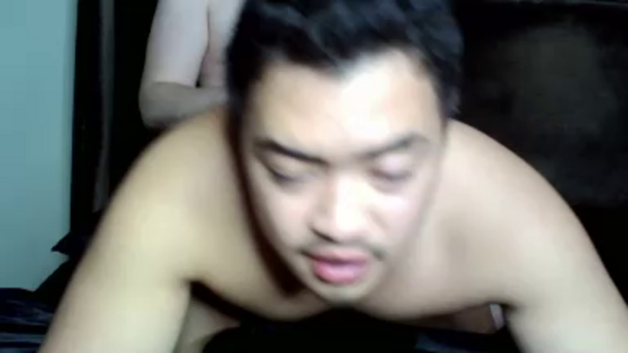 MrDonkeyKock