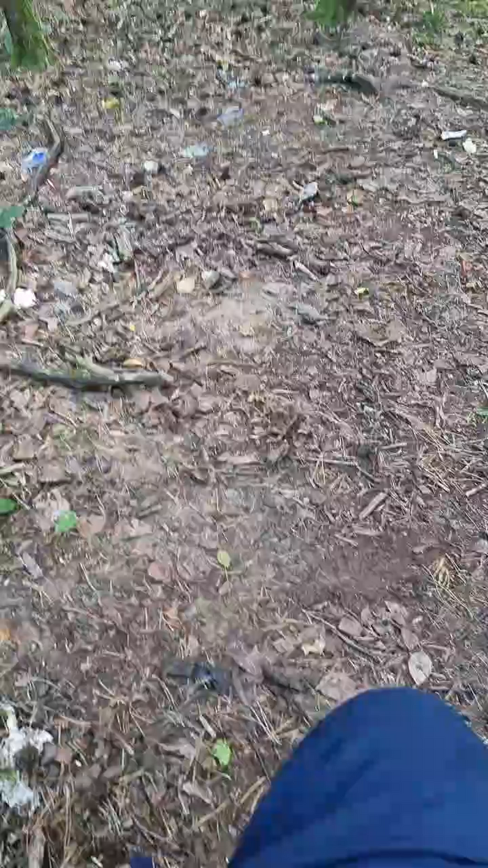 Outdoorgeil1