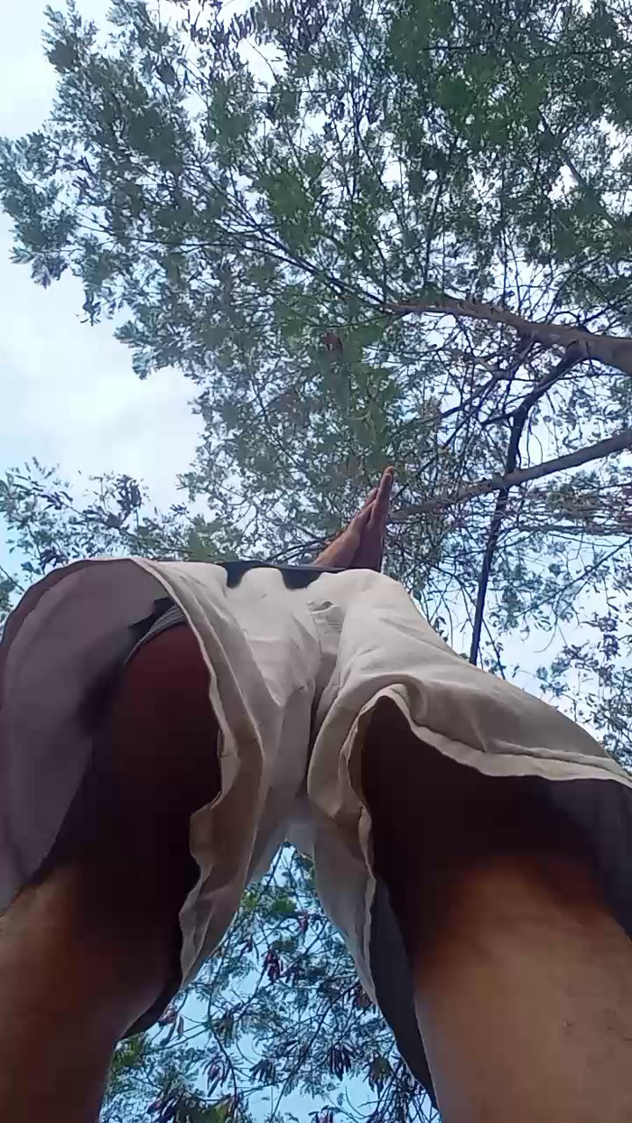 Bartisam
