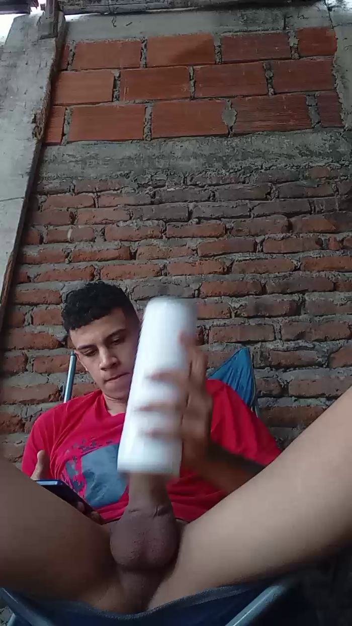 Bartisam