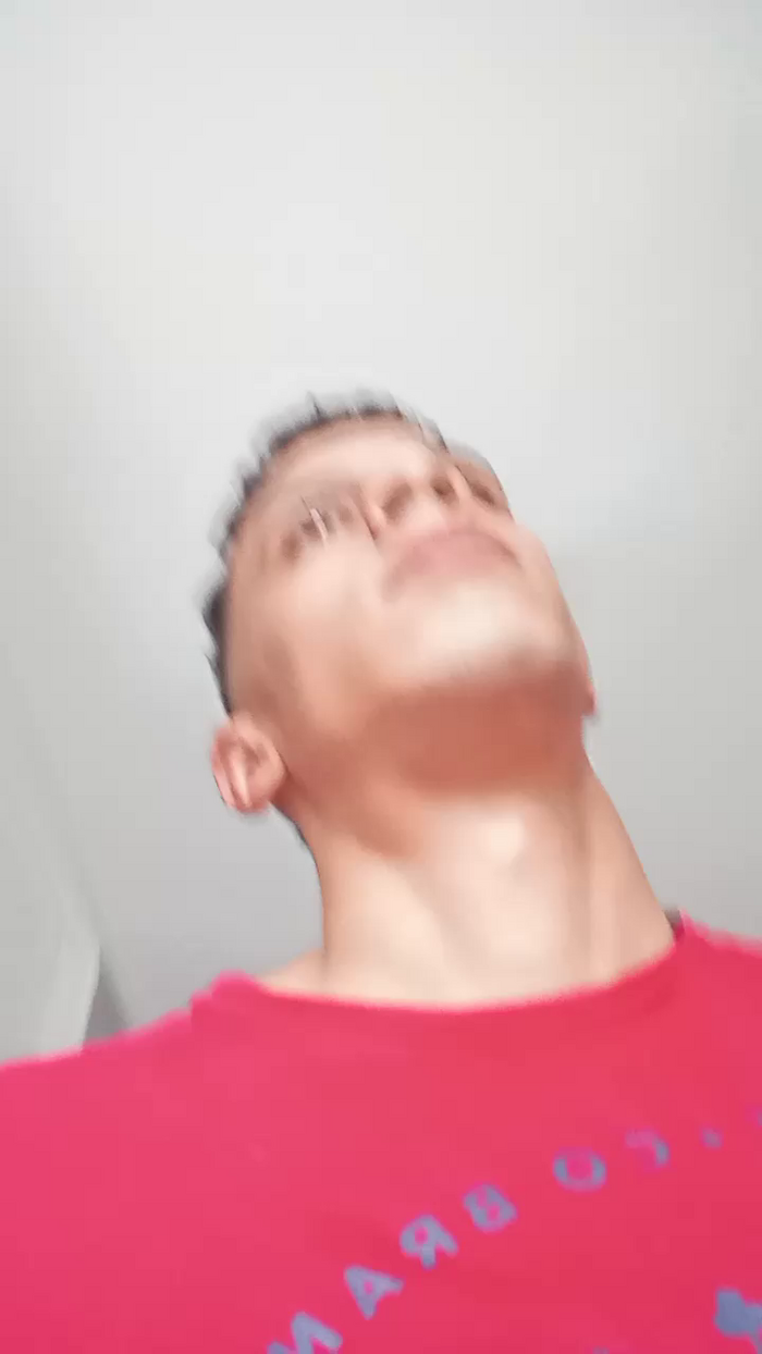 Bartisam
