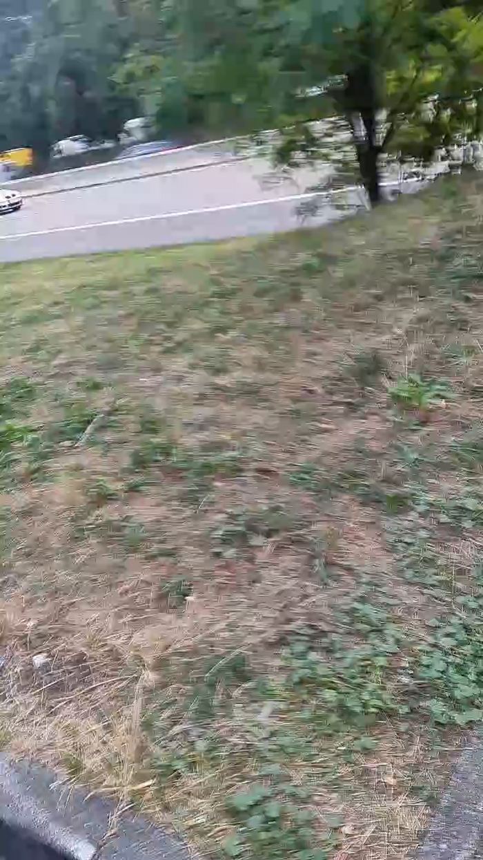 Outdoorgeil1