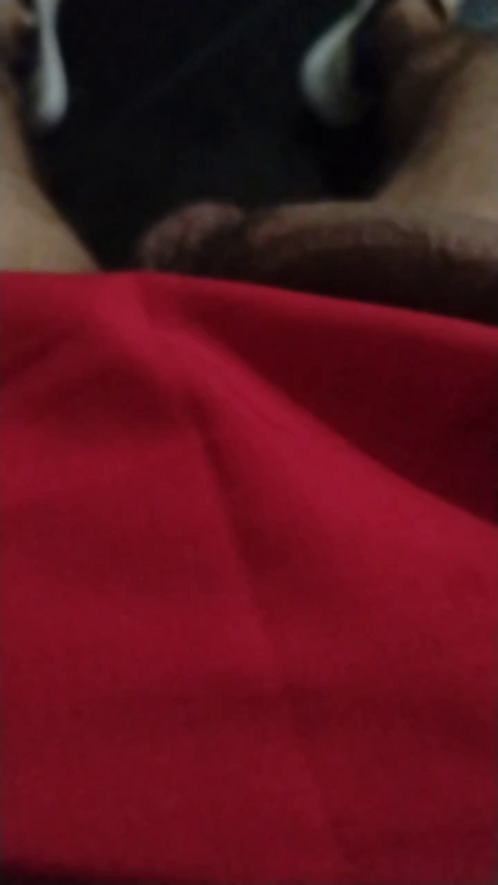 Sexylatinogay