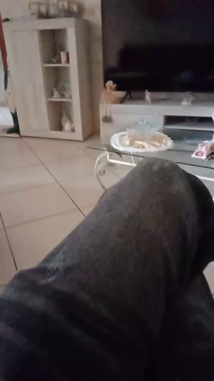 Divertiamoci86