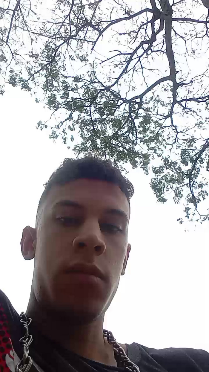 Bartisam