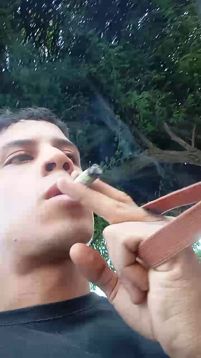 Bartisam
