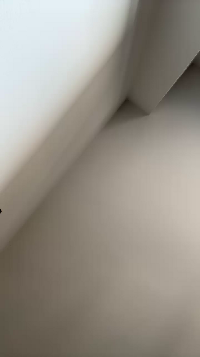 Zoebrazil49
