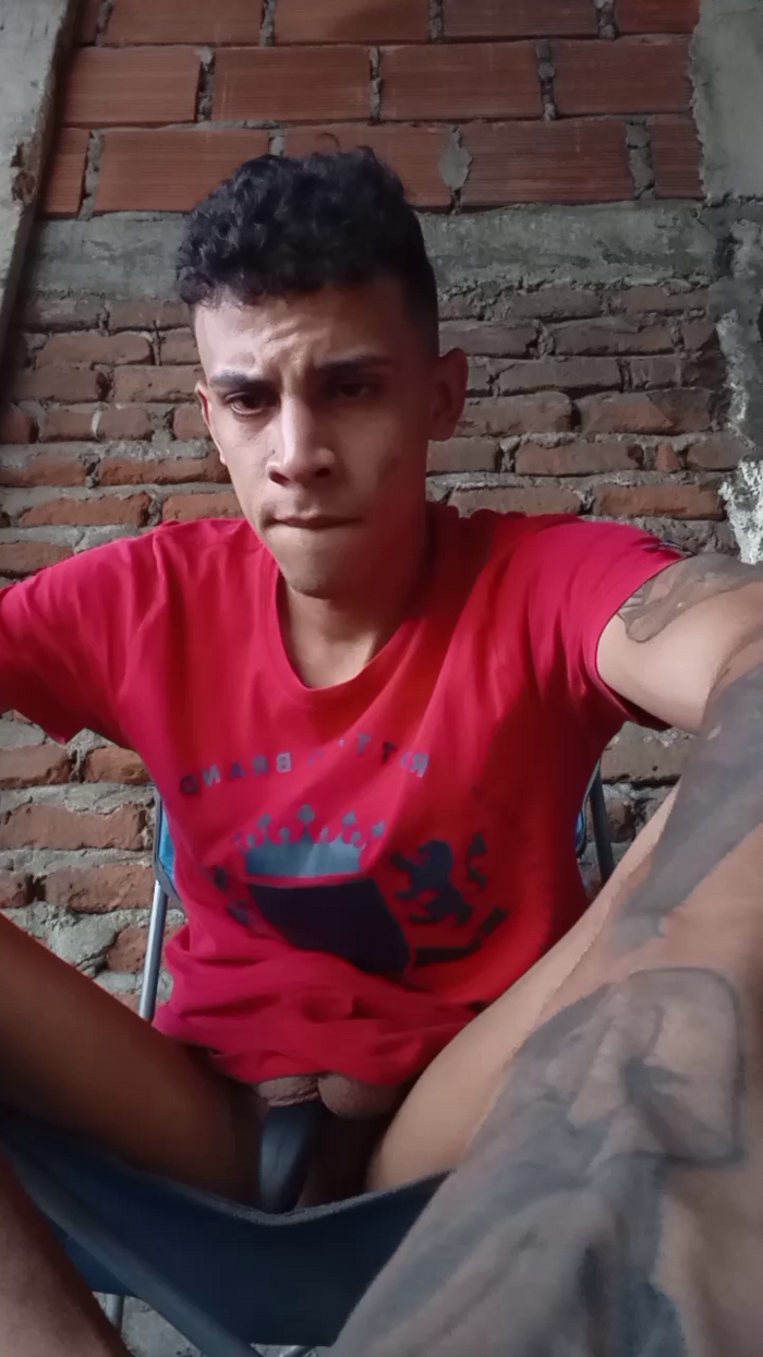 Bartisam