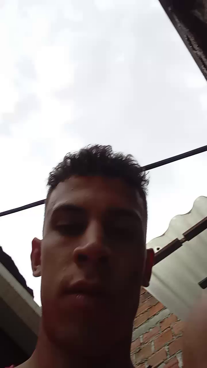 Bartisam