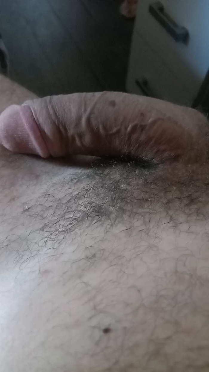 rogiodeveza88