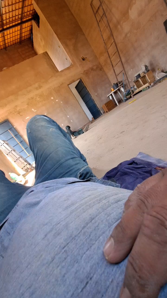 Ribeirosiebes
