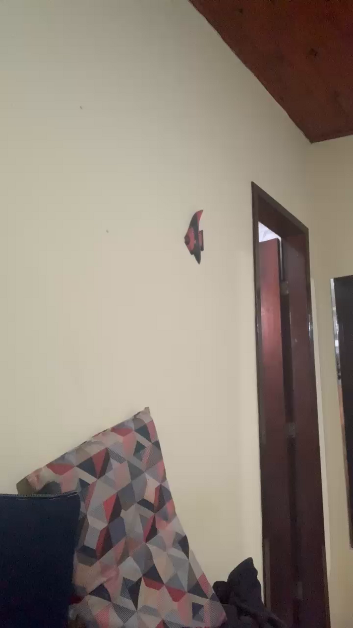 MeninoLobo_