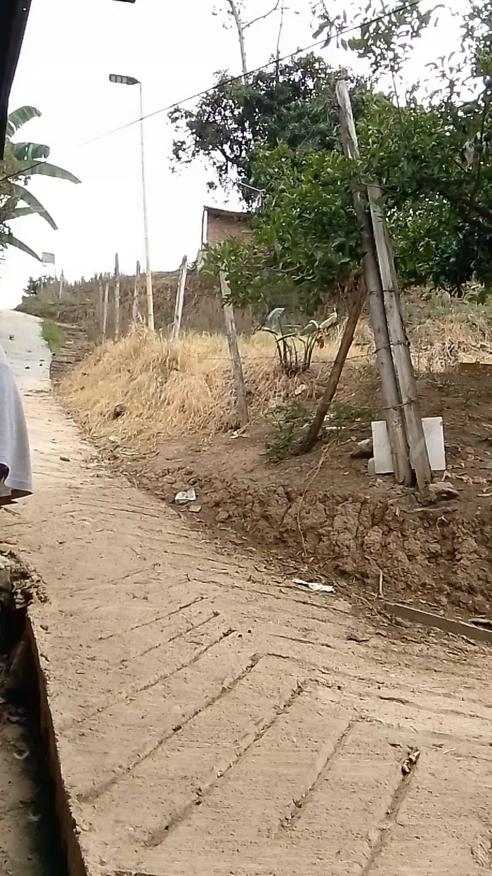 Natasha_olg