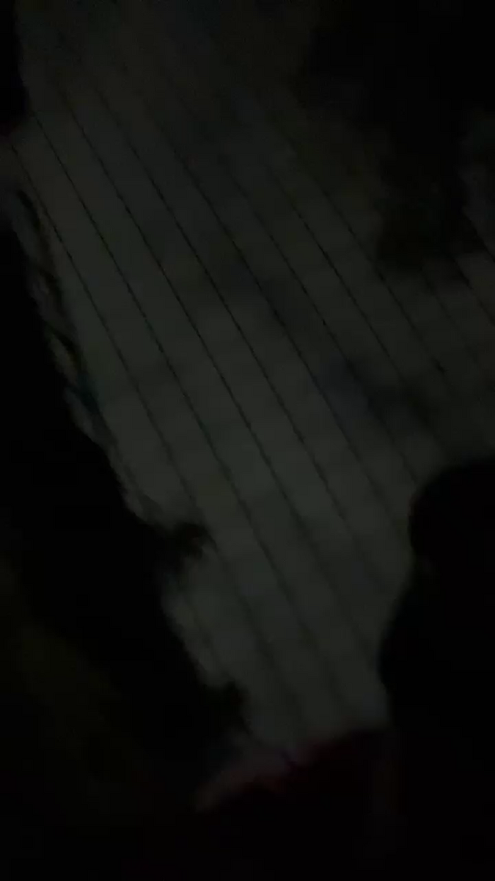 theconquerer