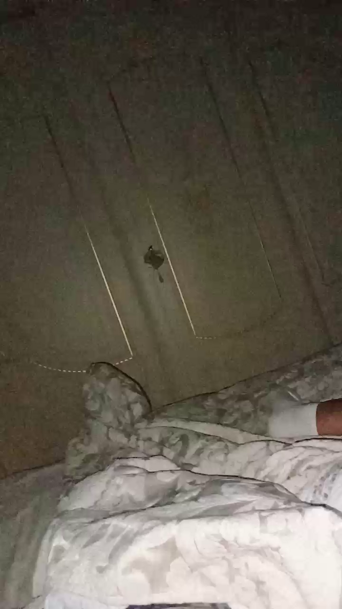 Divertiamoci86