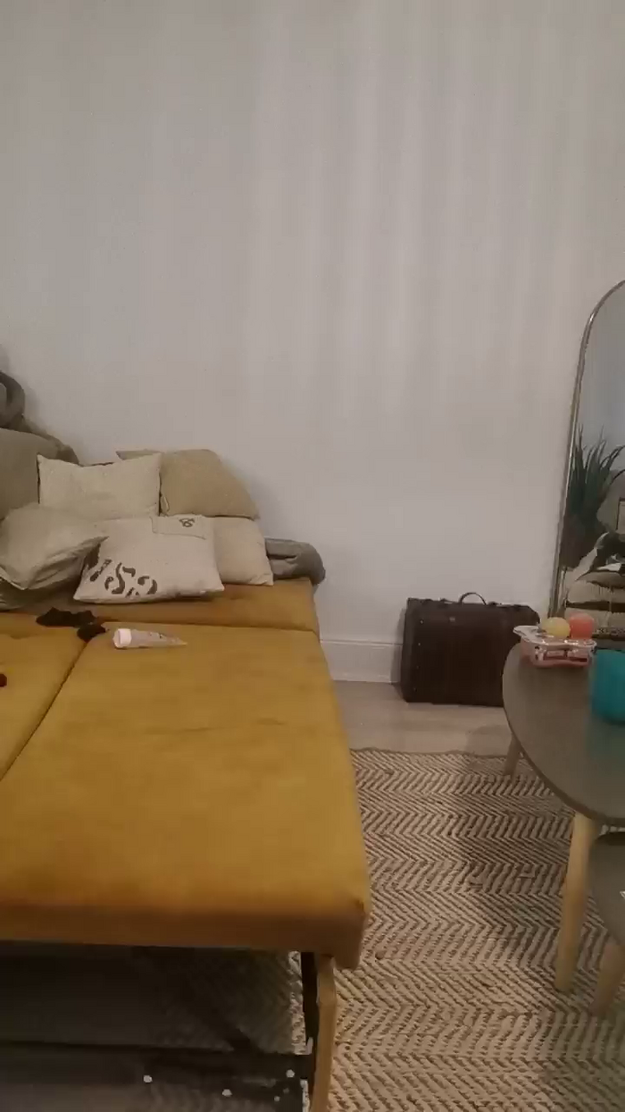 Libellule29