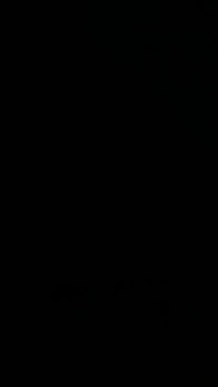 RAYSSA_VIZ0