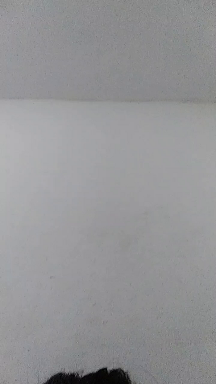taianee2