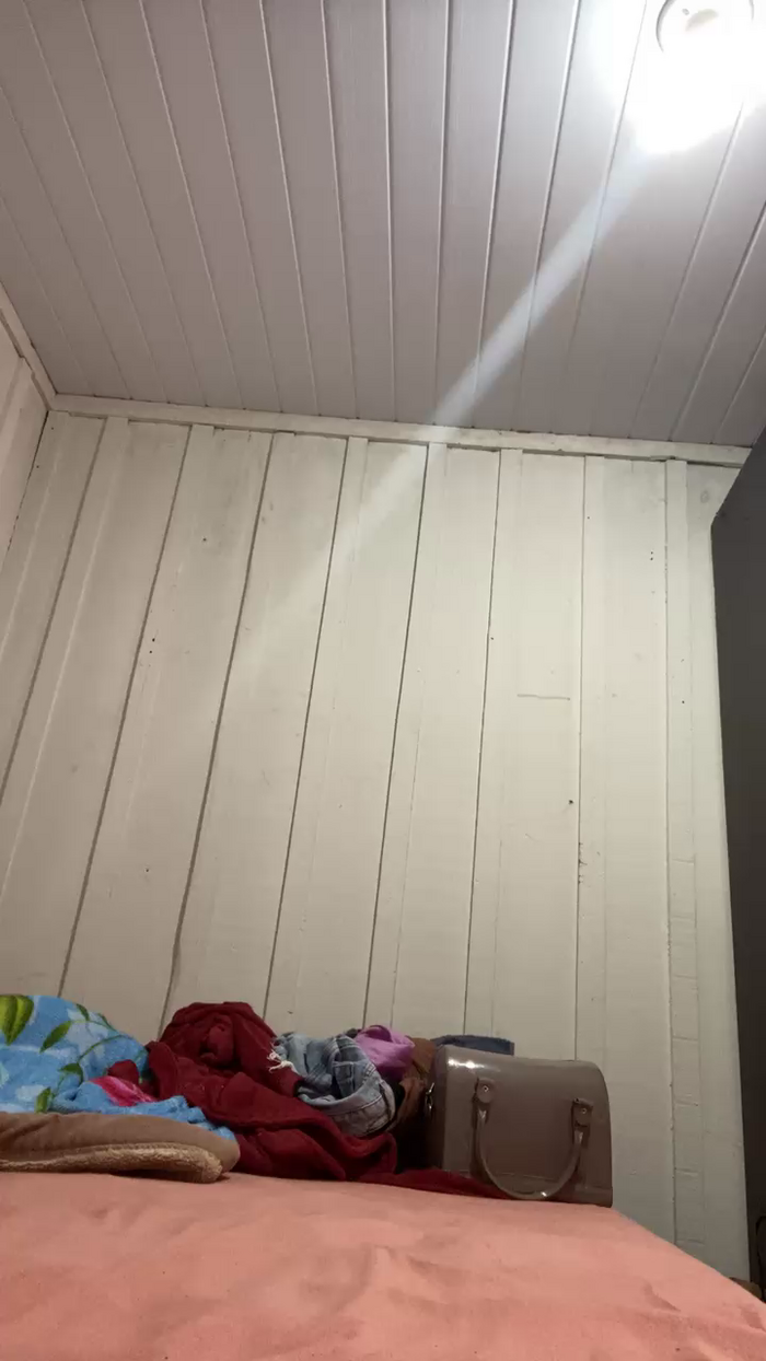ninfeta41