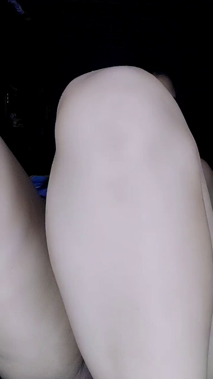 sara_jonnes