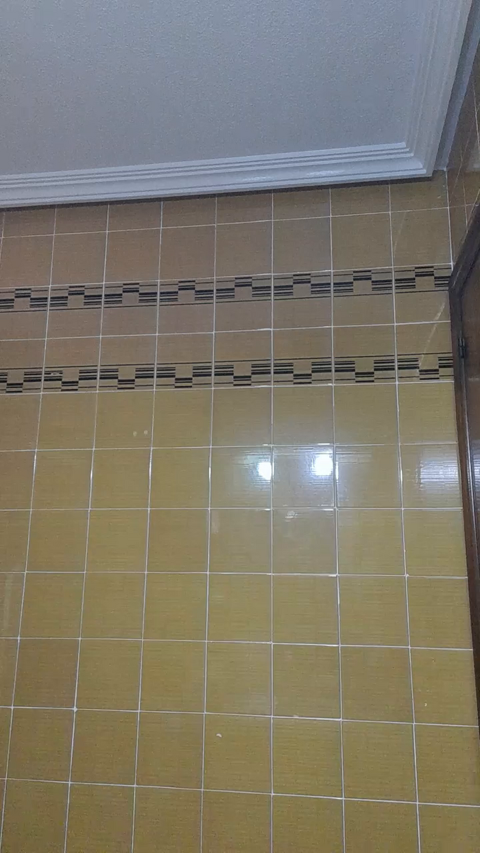 El_ceco