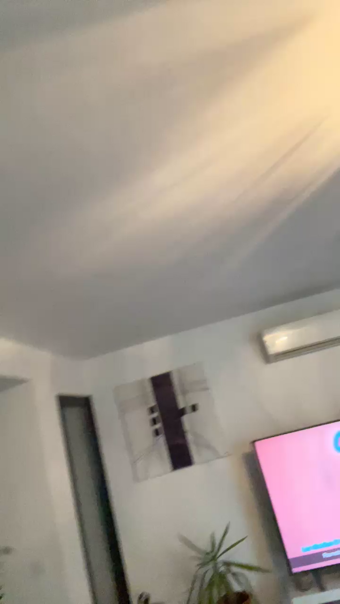 Evains1333